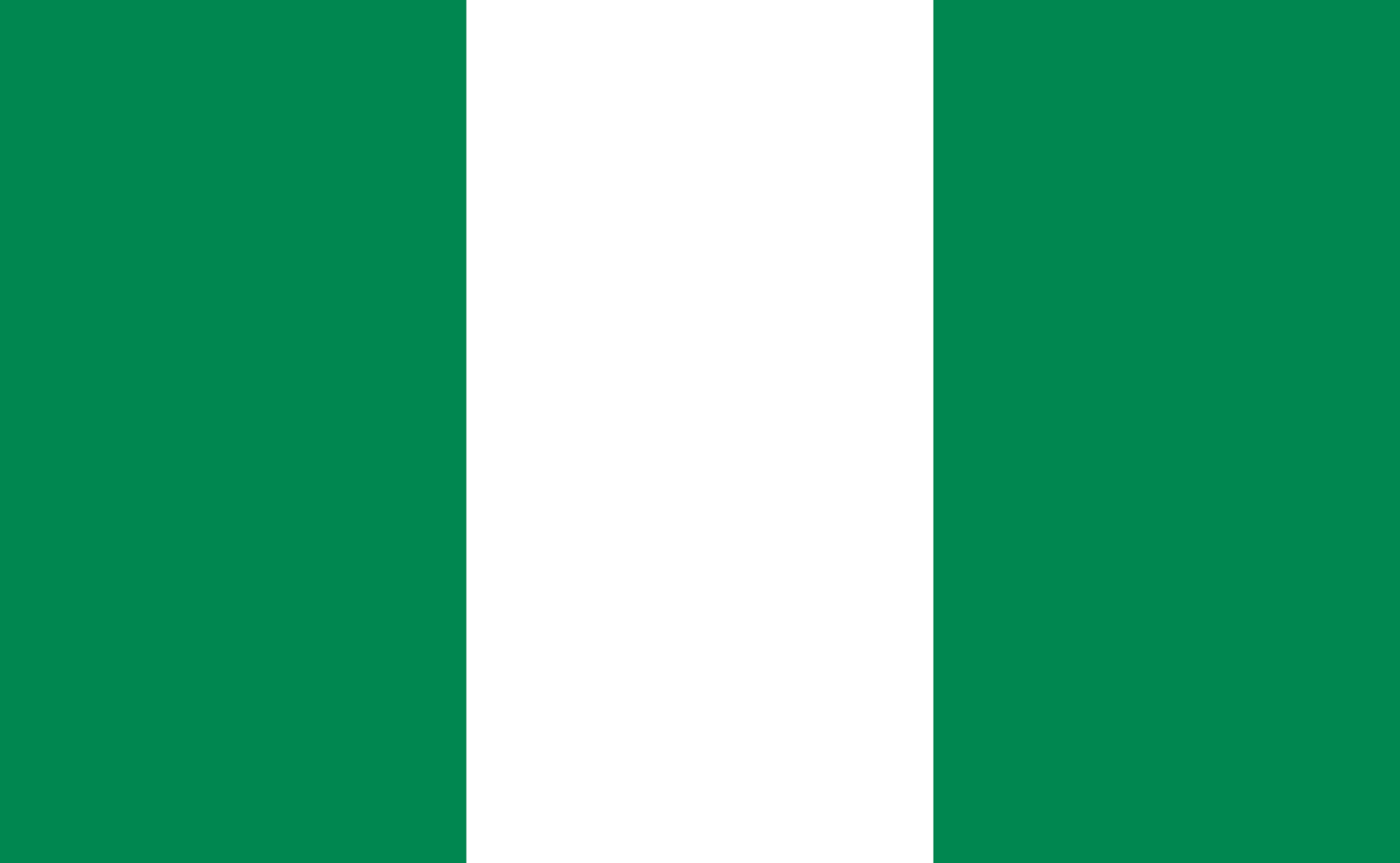 Nigerian Flag Paul Turner