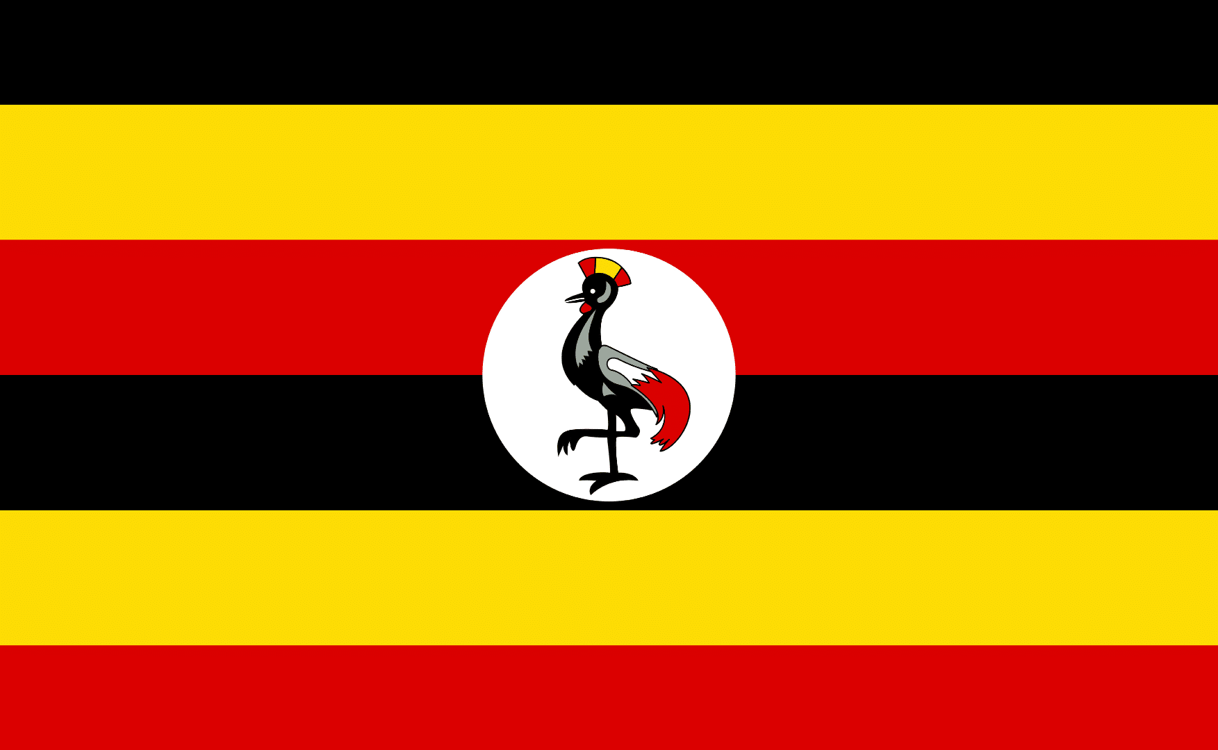 Uganda Flag Paul Turner