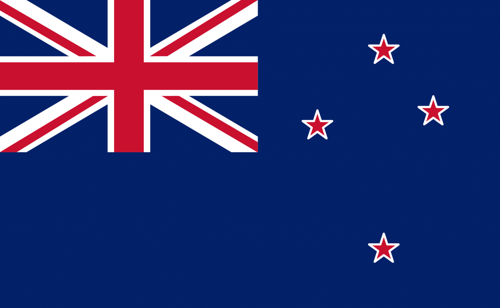 New Zealand Flag Paul Turner